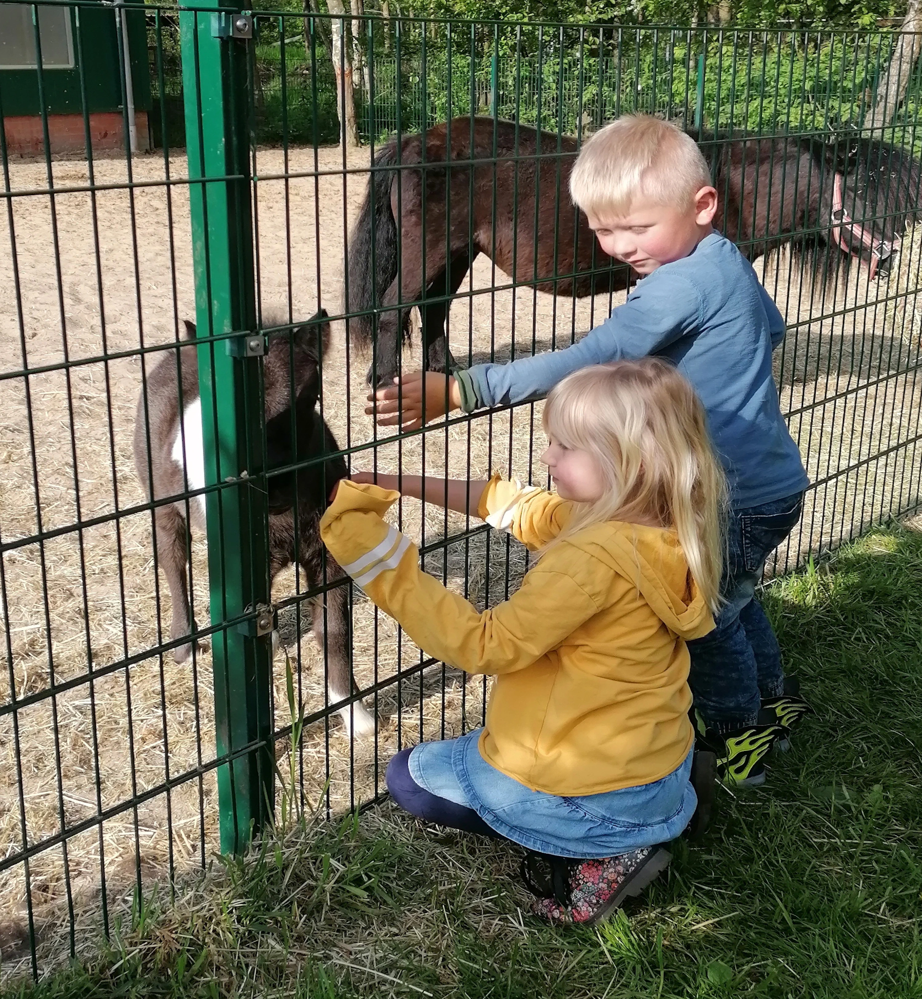 Kind bei der Naturpädagogik mit einem Pony