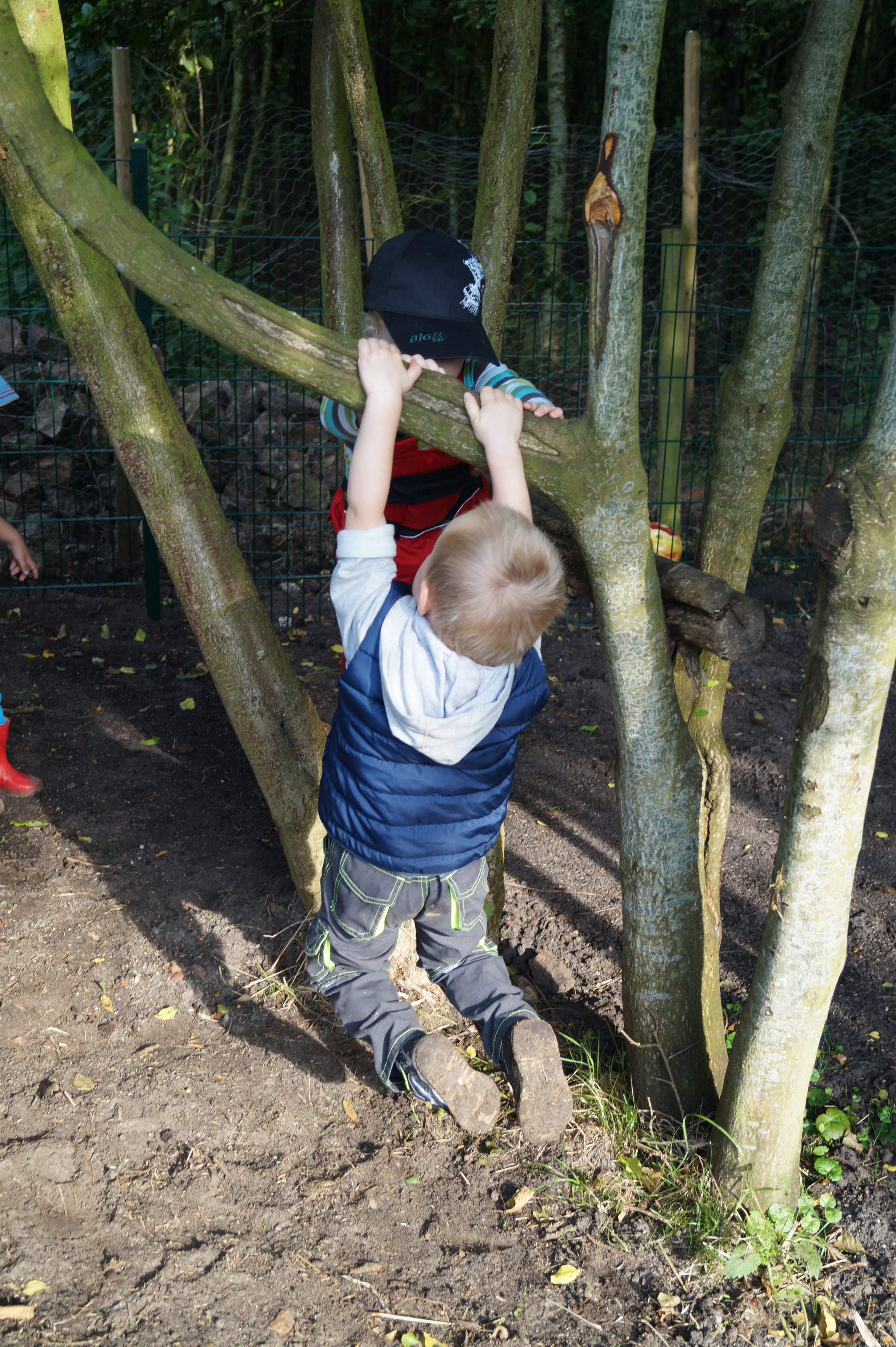 Kinder der KiTa Wittensand beim Naturerlebnis und Entdecken im Garten
