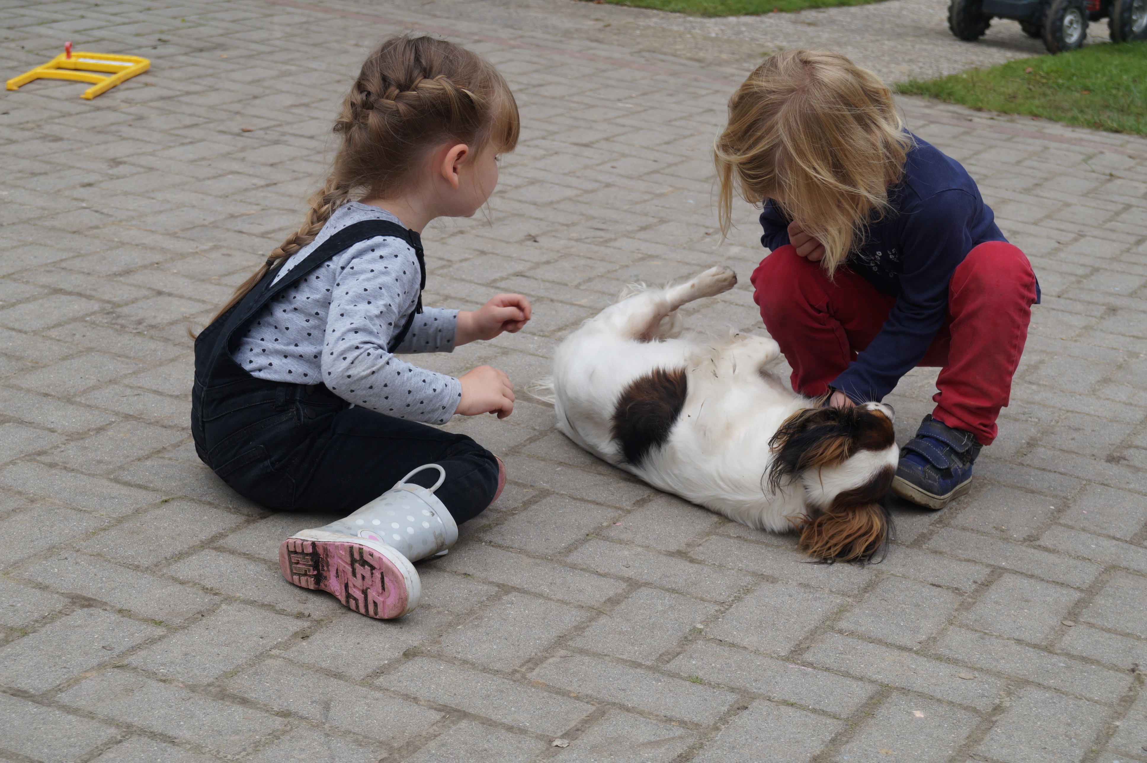 Kind der KiTa Wittensand bei der tiergestützten Therapie mit Hund