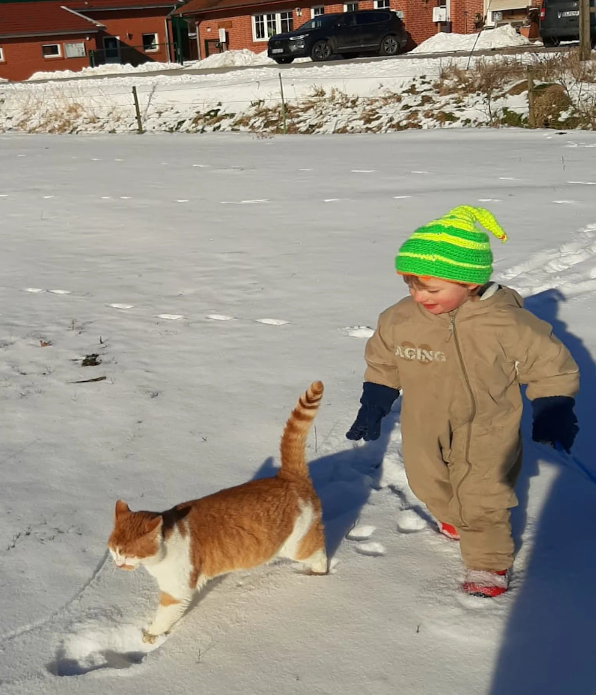 Kinder interagieren mit Tieren auf unserem Hof